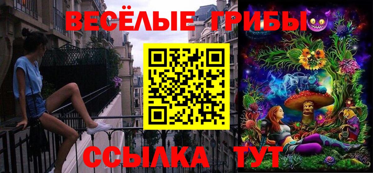Прокопьевск  Галлюциногенные грибы Magic Shrooms  Вход с VPN 