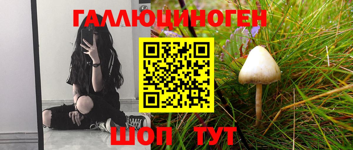Псилоцибиновые грибы Magic Shrooms Прокопьевск